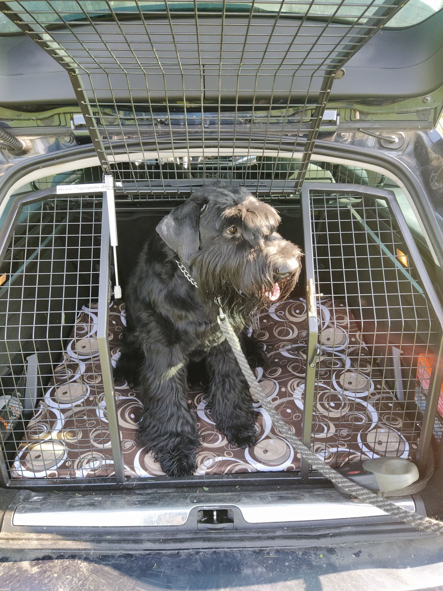 Bezpečnostní mříž do auta Citroen C5