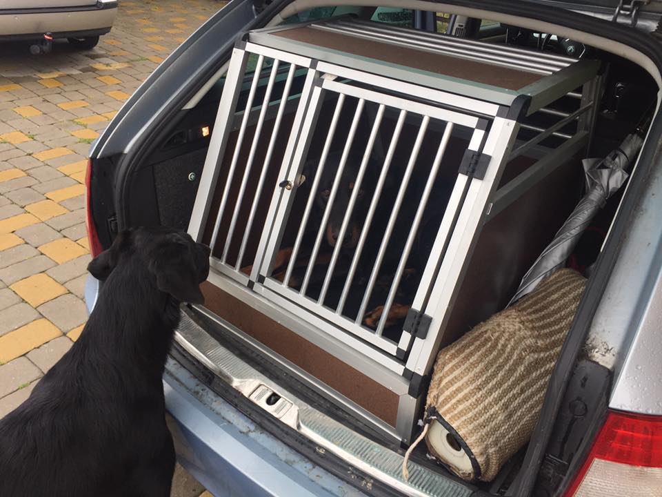 Přepravní box do auta Škoda Superb combi 2