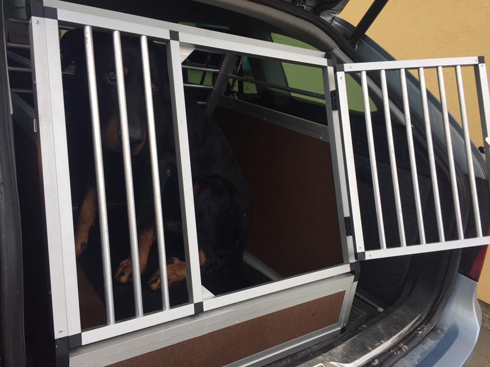 Přepravní box do auta Škoda Superb combi 2