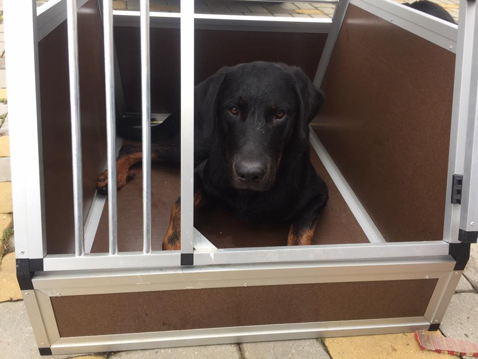 Přepravní box do auta Škoda Superb combi 2