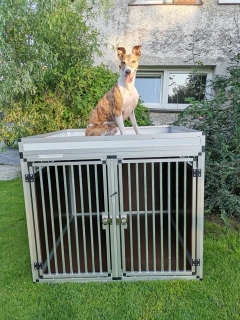 Přepravní box do auta Toyota Proace