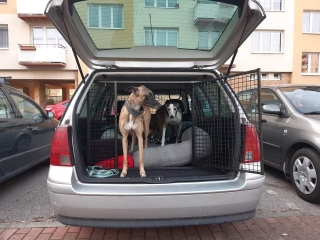 Bezpečnostní mříž do auta Volkswagen Golf