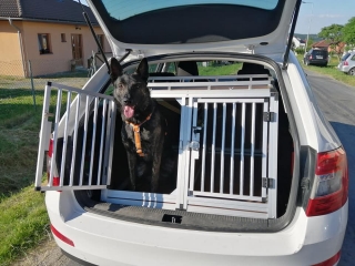 Přepravní box do Škoda Octavia III.