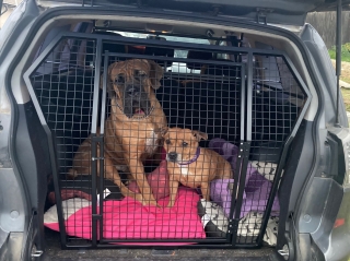 Bezpečnostní mříž do Mitsubishi Outlander.