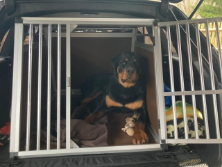 Přepravní box do Audi Q7